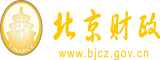 啊国外插进去好痛的网站北京市财政局