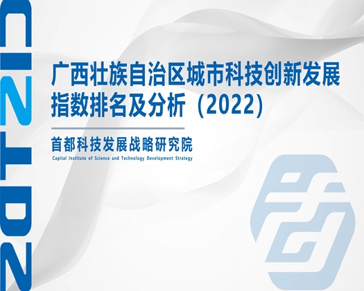 看看外国女人操逼逼【成果发布】广西壮族自治区城市科技创新发展指数排名及分析（2022）